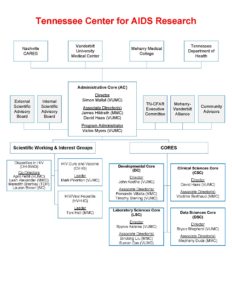 TN CFAR Organizational Chart